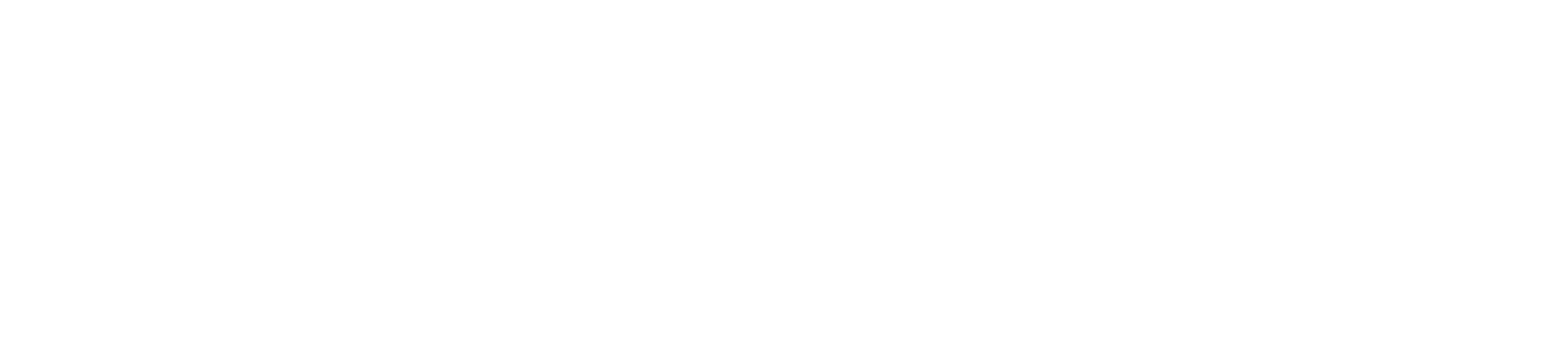 Schnellecke Digital Solutions